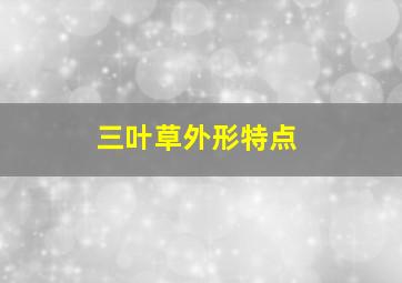 三叶草外形特点