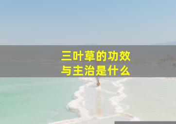 三叶草的功效与主治是什么