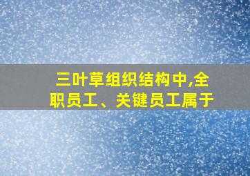 三叶草组织结构中,全职员工、关键员工属于