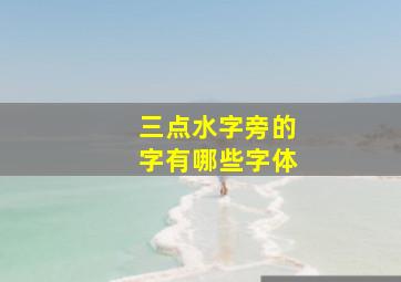 三点水字旁的字有哪些字体