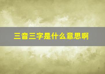 三音三字是什么意思啊