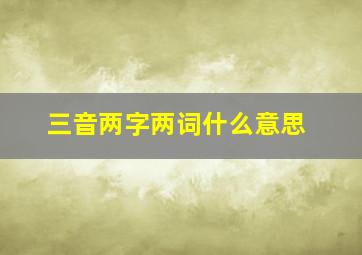 三音两字两词什么意思