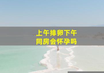 上午排卵下午同房会怀孕吗