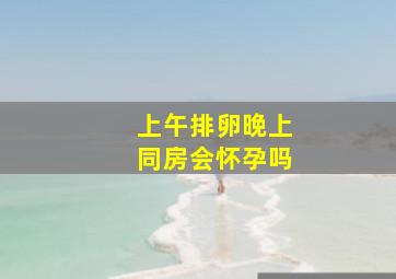 上午排卵晚上同房会怀孕吗