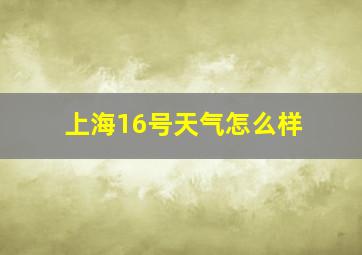 上海16号天气怎么样