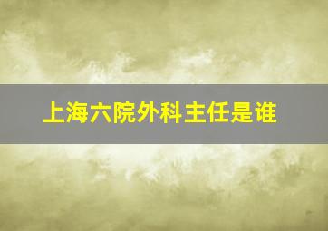 上海六院外科主任是谁