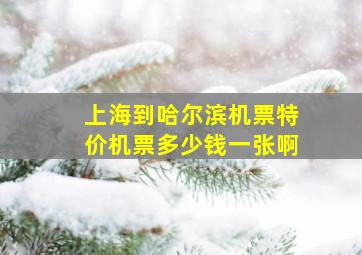 上海到哈尔滨机票特价机票多少钱一张啊