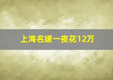 上海名媛一夜花12万