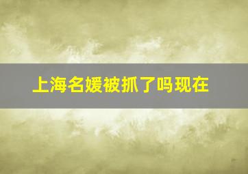 上海名媛被抓了吗现在