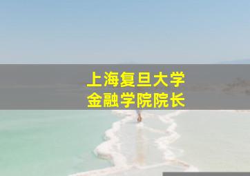 上海复旦大学金融学院院长