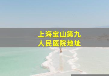 上海宝山第九人民医院地址