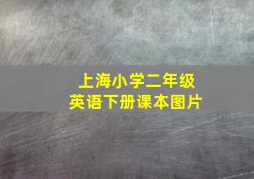 上海小学二年级英语下册课本图片