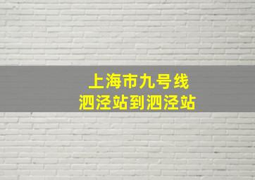 上海市九号线泗泾站到泗泾站