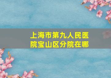 上海市第九人民医院宝山区分院在哪