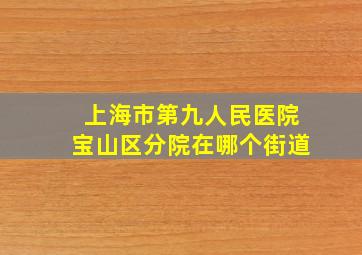 上海市第九人民医院宝山区分院在哪个街道