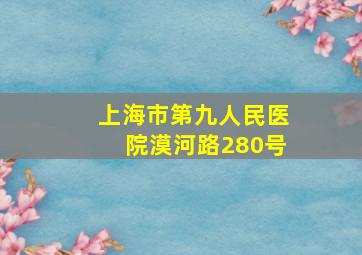 上海市第九人民医院漠河路280号