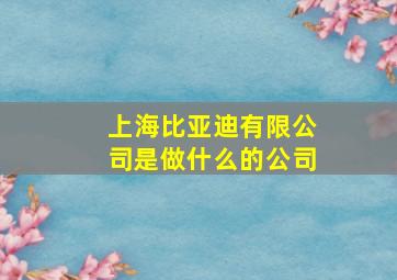 上海比亚迪有限公司是做什么的公司