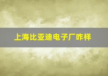 上海比亚迪电子厂咋样