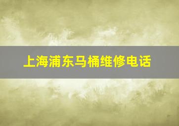 上海浦东马桶维修电话