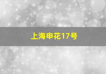 上海申花17号