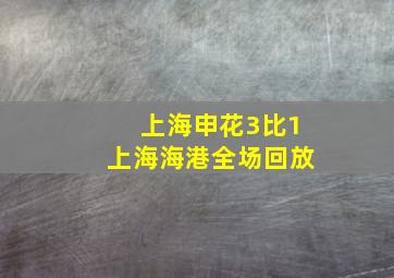 上海申花3比1上海海港全场回放