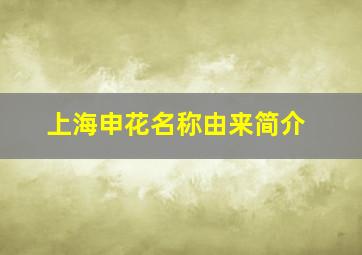 上海申花名称由来简介