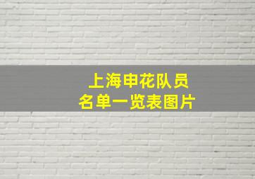 上海申花队员名单一览表图片