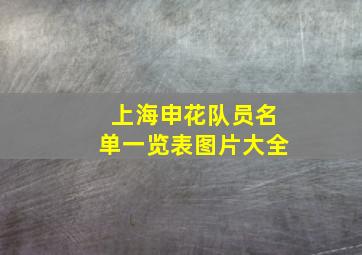 上海申花队员名单一览表图片大全