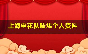 上海申花队陆炜个人资料