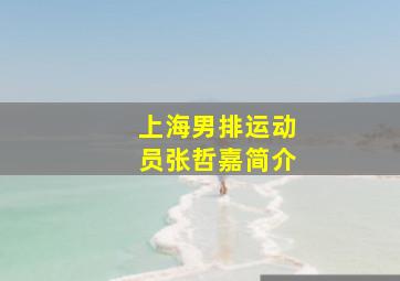 上海男排运动员张哲嘉简介