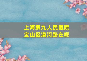 上海第九人民医院宝山区漠河路在哪