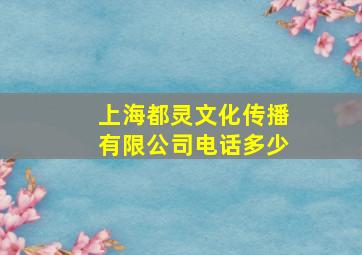 上海都灵文化传播有限公司电话多少