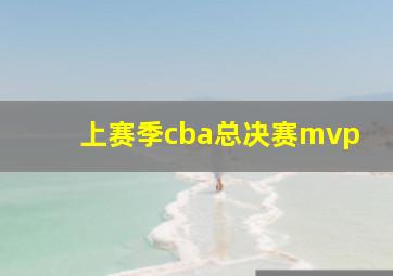 上赛季cba总决赛mvp