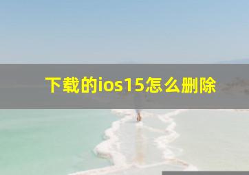 下载的ios15怎么删除