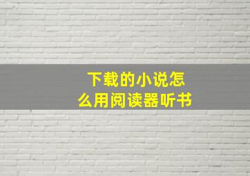 下载的小说怎么用阅读器听书