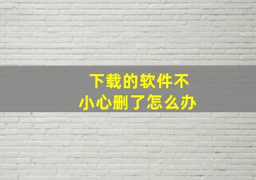 下载的软件不小心删了怎么办