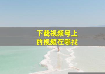 下载视频号上的视频在哪找