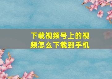 下载视频号上的视频怎么下载到手机