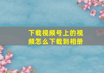 下载视频号上的视频怎么下载到相册