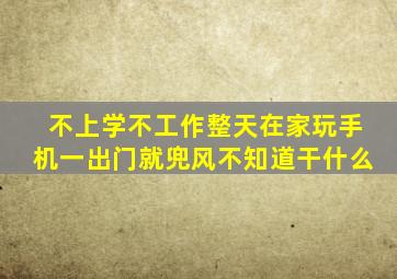 不上学不工作整天在家玩手机一出门就兜风不知道干什么