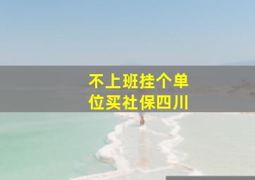 不上班挂个单位买社保四川