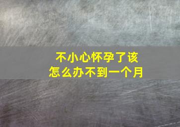 不小心怀孕了该怎么办不到一个月