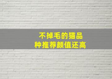 不掉毛的猫品种推荐颜值还高