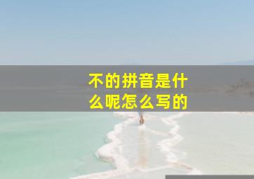 不的拼音是什么呢怎么写的