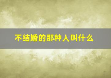 不结婚的那种人叫什么