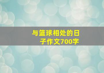 与篮球相处的日子作文700字