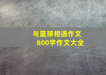 与篮球相遇作文800字作文大全