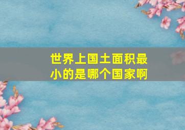 世界上国土面积最小的是哪个国家啊