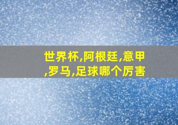 世界杯,阿根廷,意甲,罗马,足球哪个厉害