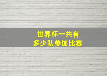 世界杯一共有多少队参加比赛